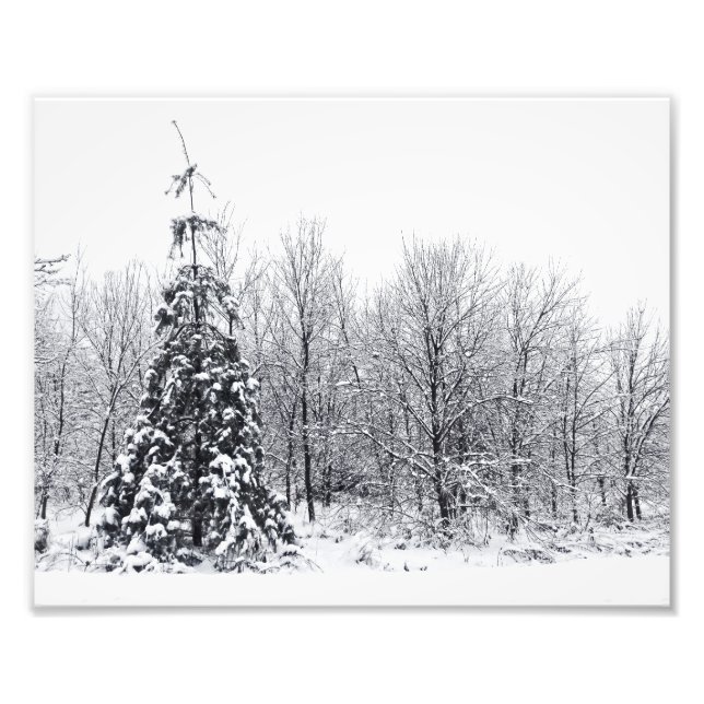 Trennung mit Sicherheit Fotodruck (Vorne)