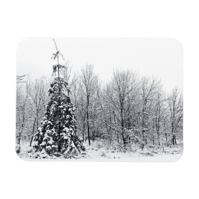 Trennung mit Sicherheit Magnet (Horizontal)