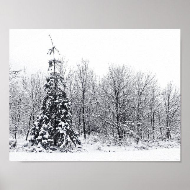 Trennung mit Sicherheit Poster (Vorne)