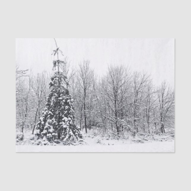 Trennung mit Sicherheit Seidenpapier (Vorderseite)