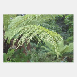 Treny Fresh Fern Background Set 3 Geschenkpapier Set