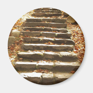 Treppe Magnet