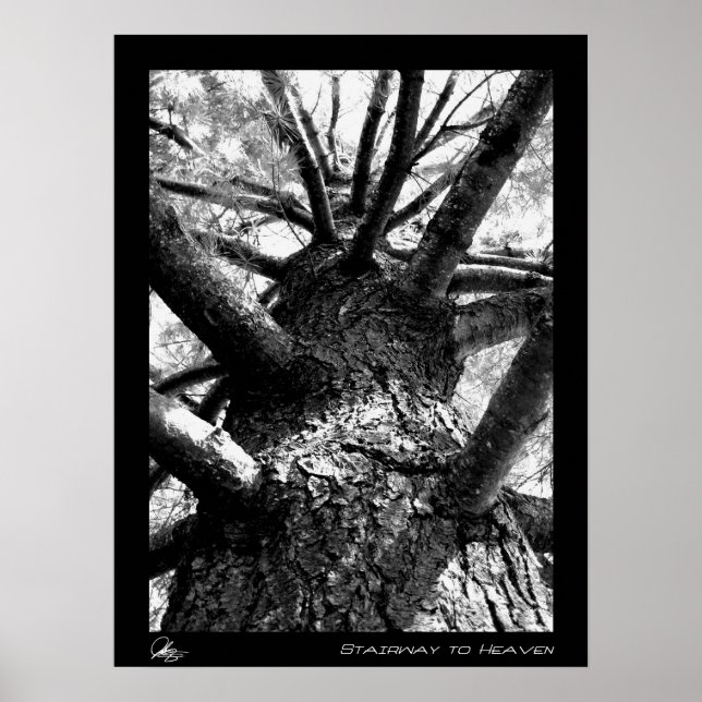 Treppe zum Himmel Poster (Vorne)