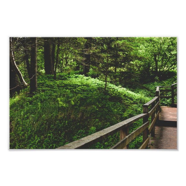 Treppen ins grüne Land Fotodruck (Vorne)