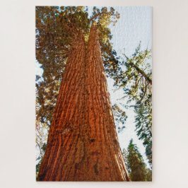 Treppenbaum, Yosemite Puzzle