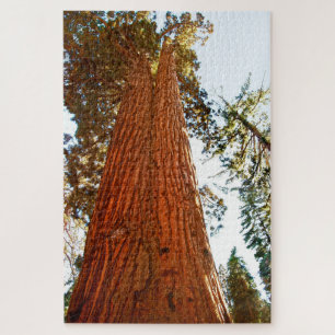 Treppenbaum, Yosemite Puzzle
