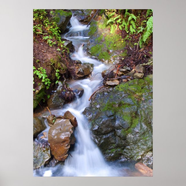 Treppenfall Poster (Vorne)