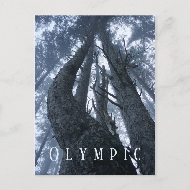 Treppenhaus Blick vom Olympischen Nationalpark Erd Postkarte (Vorderseite)