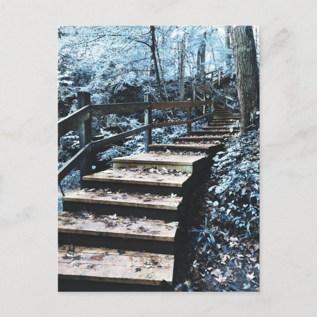 Treppennachbarschaft Postkarte (Vorderseite)