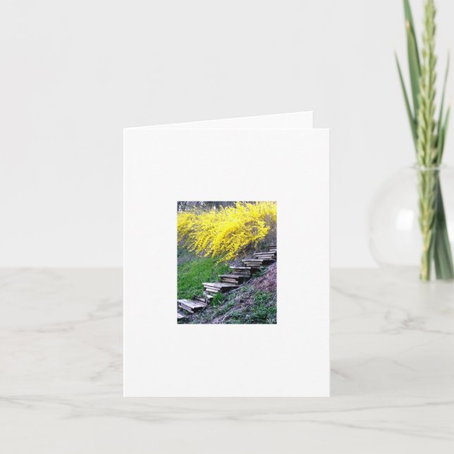 Treppennotecard Karte (Vorderseite)