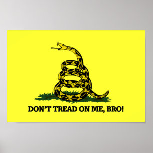 Treten Sie mir nicht auf Bro Poster
