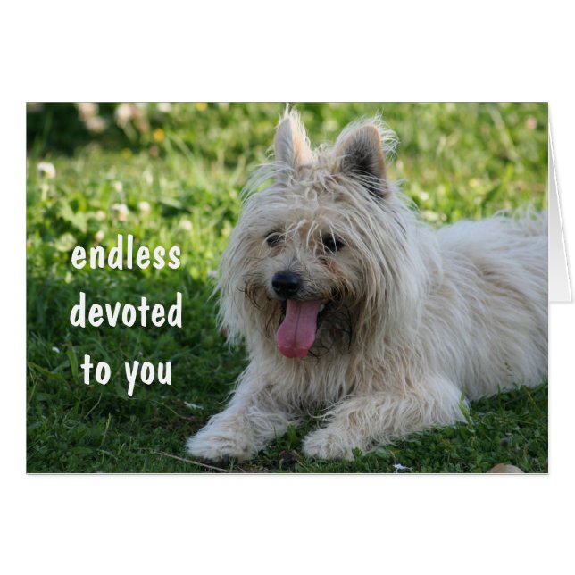 treu (Vorderseite (Horizontal))