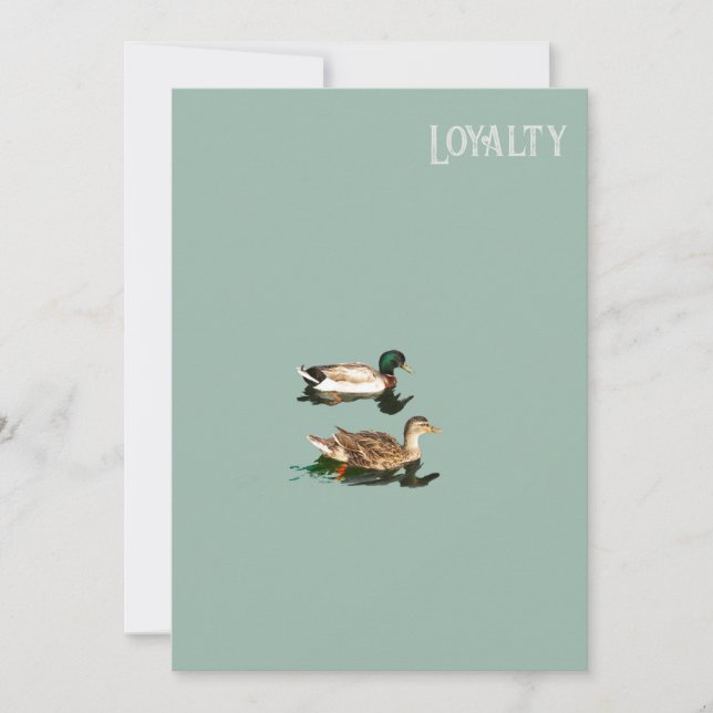 Treue der Enten Save The Date (Vorderseite)