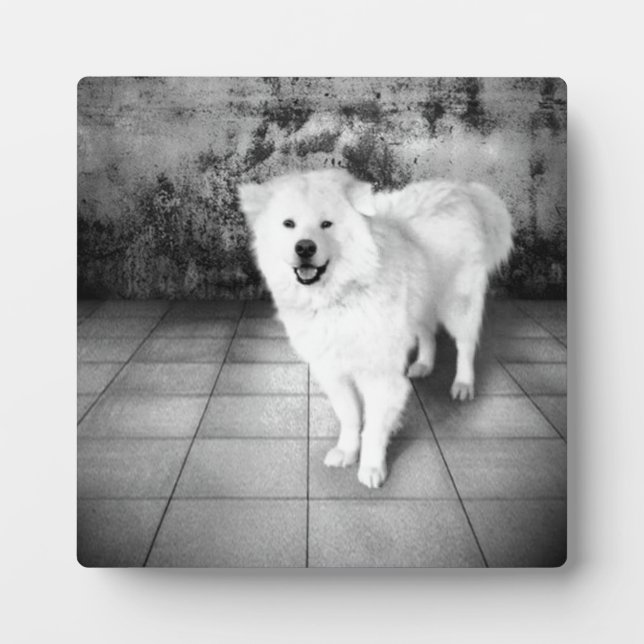 Treue Liebe Fotoplatte (Vorderseite)