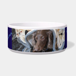 Treue Pfotenabdrücke Haustier Napf