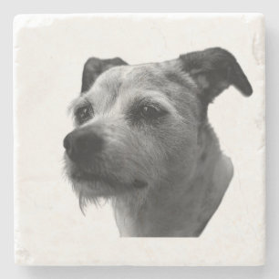Treuer Begleiter – Parson Russell Terrier Steinuntersetzer