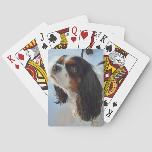 Tri-Cavalier Spaniel Spielkarten (Rückseite)