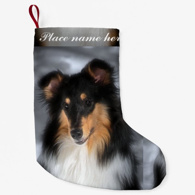 Tri Collie-Weihnachten Kleiner Weihnachtsstrumpf (Vorderseite)