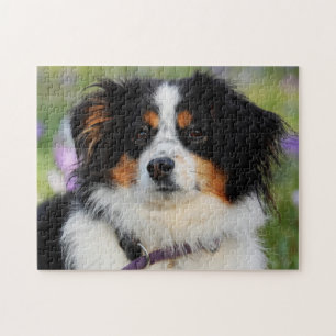 Tri Color Australian Shepherd Welpe Hund Puzzle