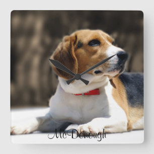 Tri-Color Beagle Quadratische Wanduhr