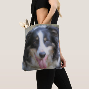 Tri Color Border Collie Face