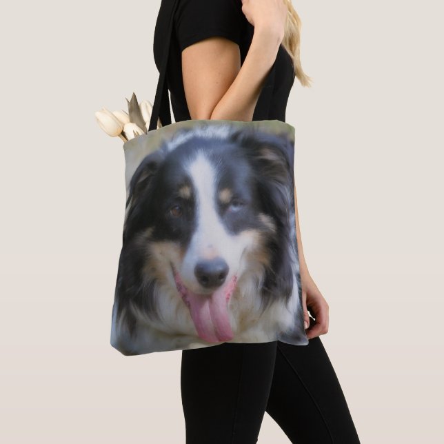 Tri Color Border Collie Face (Von Nahem)