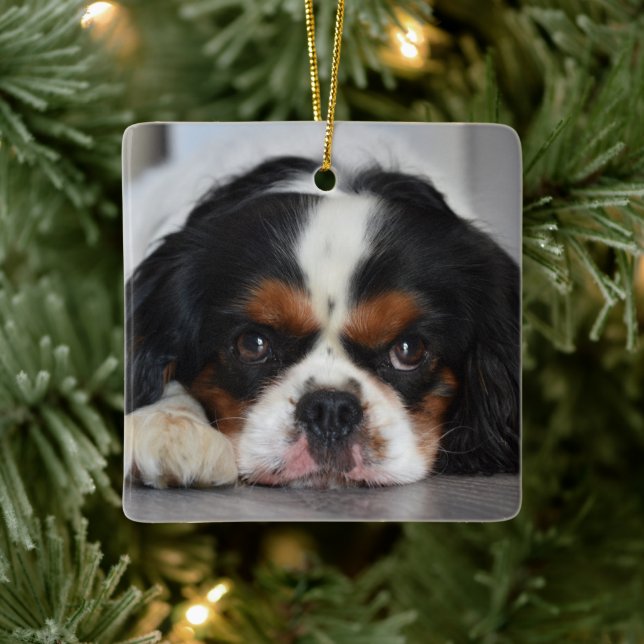Tri Color Cavalier King Charles Dog Keramikornament (Baum)
