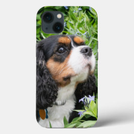 Tri Color Cavalier King Charles Spaniel Dog Case-Mate iPhone Hülle