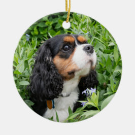 Tri Color Cavalier King Charles Spaniel Keramik Ornament
