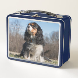 Tri Color Cavalier King Charles Spaniel Metall Brotdose