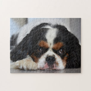Tri Color Cavalier King Charles Spaniel Puppy Dog Puzzle