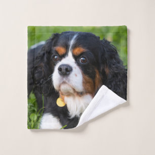 Tri Color Cavalier King Charles Spaniel Puppy Dog Waschlappen