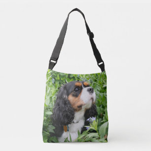 Tri Color Cavalier König Charles Spaniel Hund Tragetaschen Mit Langen Trägern