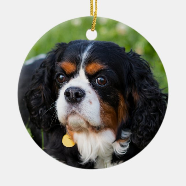 Tri Color Cavalier König Charles Spanier Keramik Ornament (Vorne)