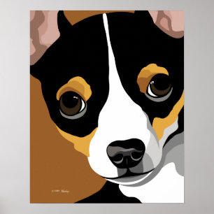 Tri Color chihuahua Poster