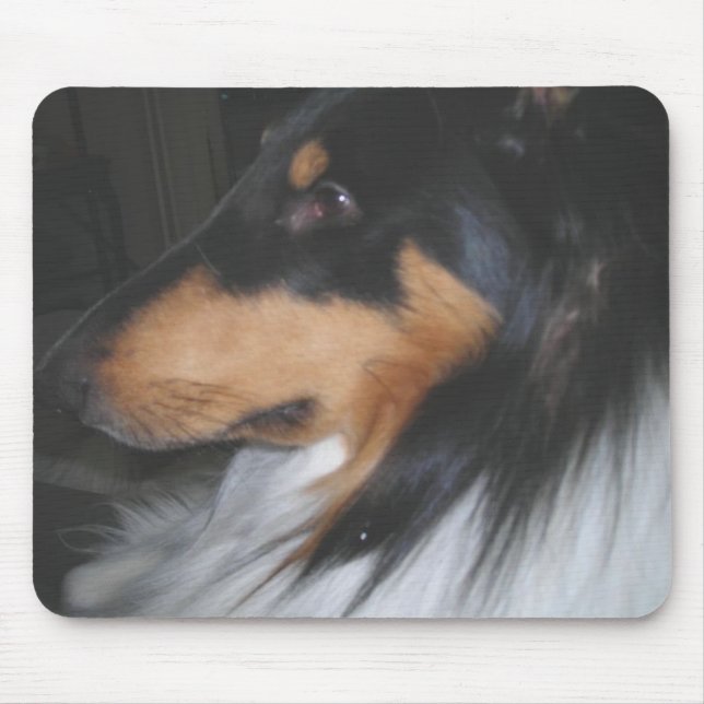 Tri-color Collie in tiefem Denken Mousepad (Vorne)