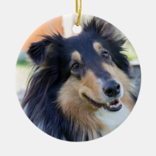 Tri Color Collie Puppy Dog Keramik Ornament