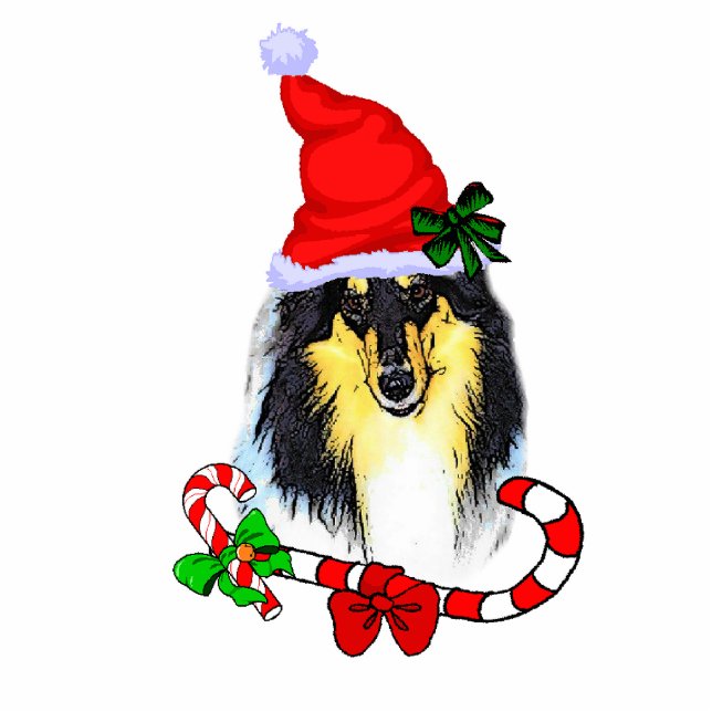 Tri Color Collie Weihnachtsgeschenke Fotoskulptur Ornament (Vorne)