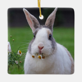 Tri Color Dutch Dwarf Mini Bunny Rabbit Keramikornament