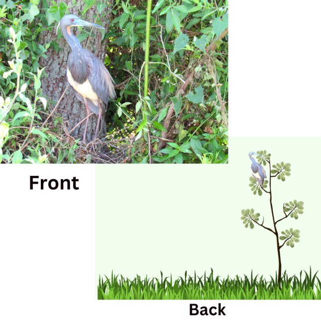 Tri-Color Heron Gebäude a Nest (Von Creator hochgeladen)