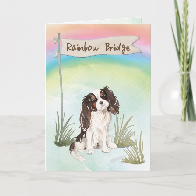 Tri Color King Charles Spanel Pet Beileid Karte (Vorderseite)