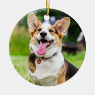 Tri Color Pembroke Welsh Corgi Welppy Dog Keramik Ornament