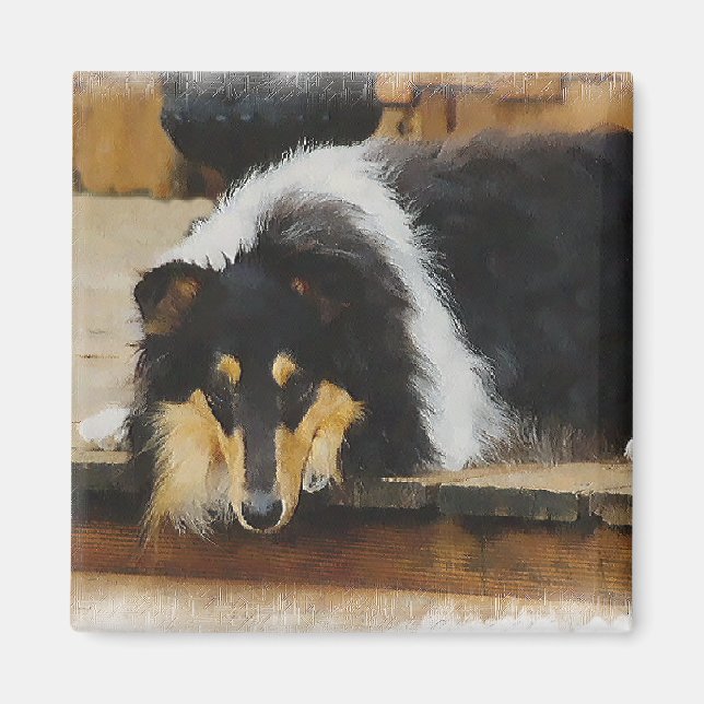 Tri Color Rough Collie Gönnt Kunst Magnet (Vorne)