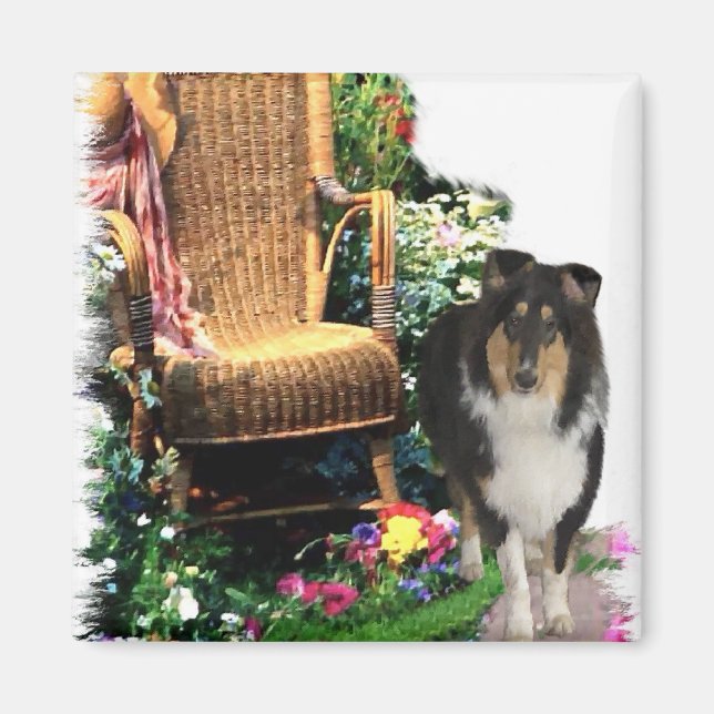 Tri-Color Rough Collie Kunstgeschenke Magnet (Vorne)