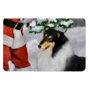 Tri Color Rough Collie mit Weihnachten Magnet