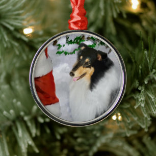 Tri Color Rough Collie mit Weihnachten Ornament Aus Metall