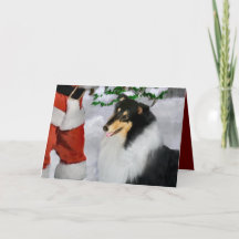Tri-Color Rough Collie Weihnachtsgeschenke