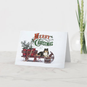 Tri Color Sheltie Weihnachten Karte