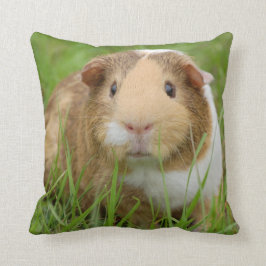 Tri Color Smooth Hair Pod Guinea Kissen