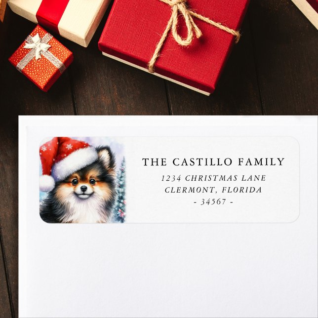 Tri Color Spitz Weihnachts-Rücksendeadresse (Von Creator hochgeladen)